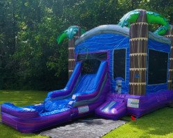 4da9ffa8 4b80 4376 b86d 4ab9d3656554 1707586918 AlohaBeauty (Waterslide or Dry Slide)